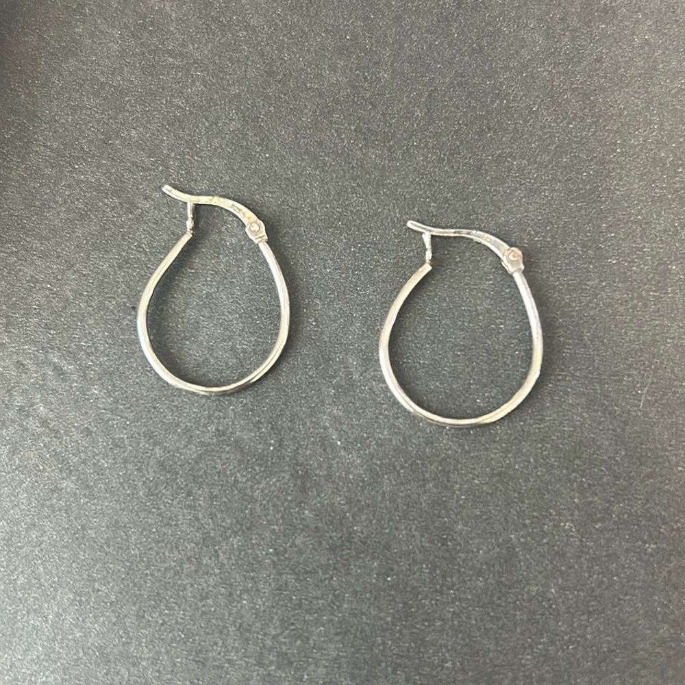 Silver earrings. Bought in Asheville NC at Elementality.